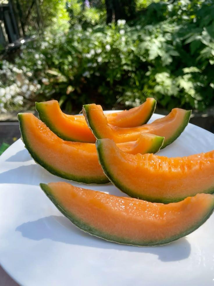 Orchard Bliss: Exotic & Classic Fruit Selection